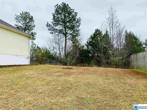 263 Ty Ln, Warrior, AL 35180 photo 29