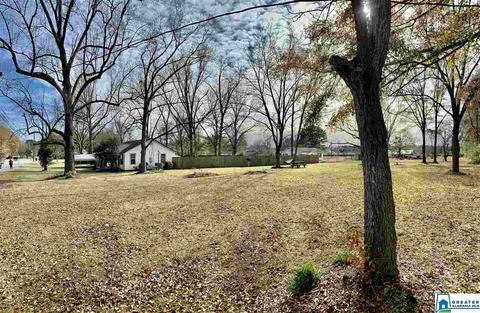1403 Mount Pleasant Rd, Clanton, AL 35045 photo 33