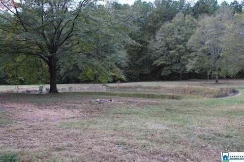 299 Singleton Rd, Anniston, AL 36207 photo 25