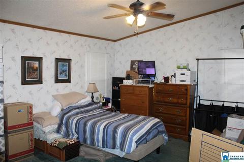 299 Singleton Rd, Anniston, AL 36207 photo 7