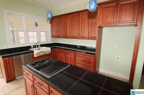 706 E Haven Dr, Glencoe, AL 35905 photo 8