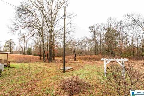 10919 Mudd St, Ohatchee, AL 36271 photo 33