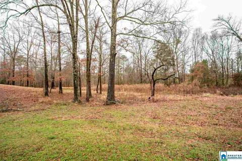 10919 Mudd St, Ohatchee, AL 36271 photo 30