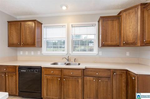 10919 Mudd St, Ohatchee, AL 36271 photo 4