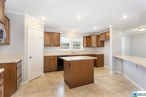 10919 Mudd St, Ohatchee, AL 36271 photo 2