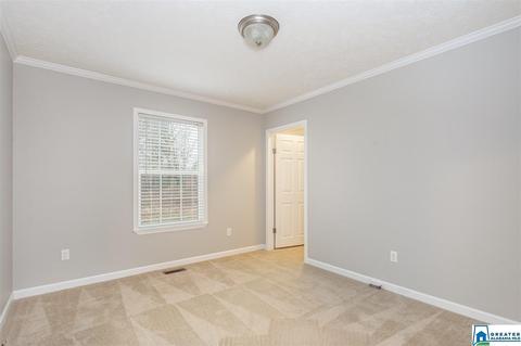 10919 Mudd St, Ohatchee, AL 36271 photo 21