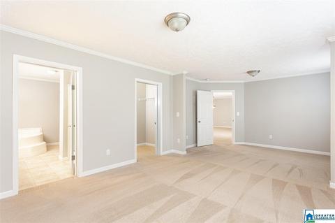 10919 Mudd St, Ohatchee, AL 36271 photo 16