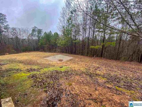 98 Nikki Ln, Warrior, AL 35180 photo 14