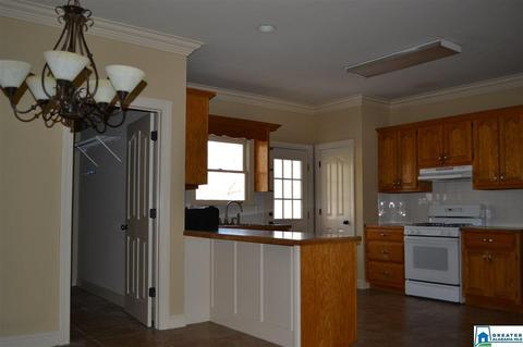 626 Pine Mountain Rd, Remlap, AL 35133 photo 19