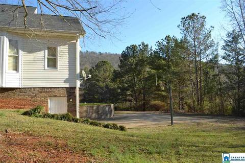 626 Pine Mountain Rd, Remlap, AL 35133 photo 8