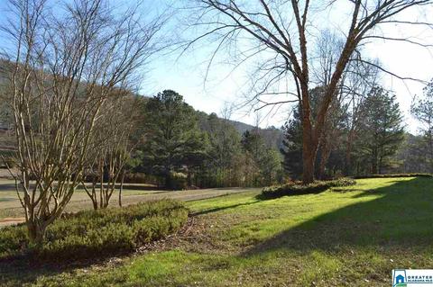 626 Pine Mountain Rd, Remlap, AL 35133 photo 6