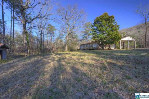 655 Valley Trl, Warrior, AL 35180 photo 17
