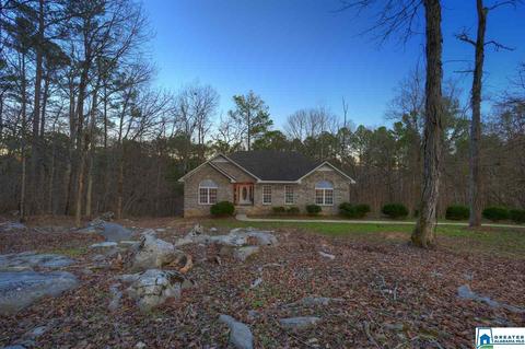 180 Spring Trl, Warrior, AL 35180 photo 31