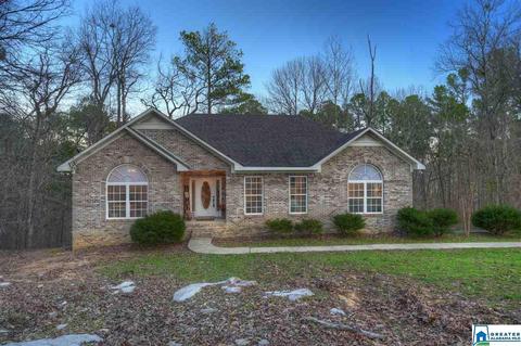 180 Spring Trl, Warrior, AL 35180 photo 33