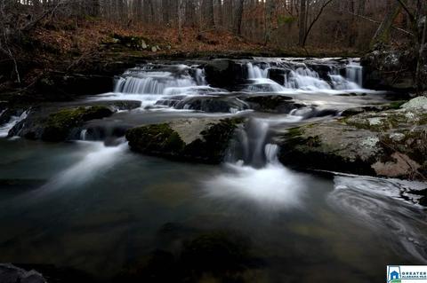 180 Spring Trl, Warrior, AL 35180 photo 26