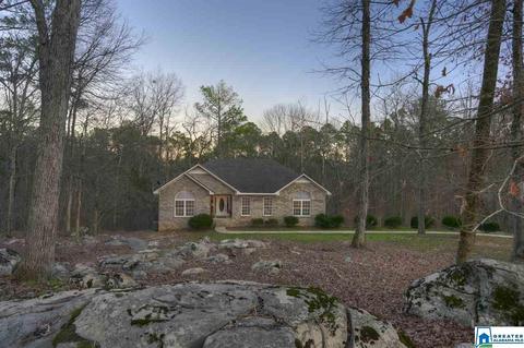 180 Spring Trl, Warrior, AL 35180 photo 2