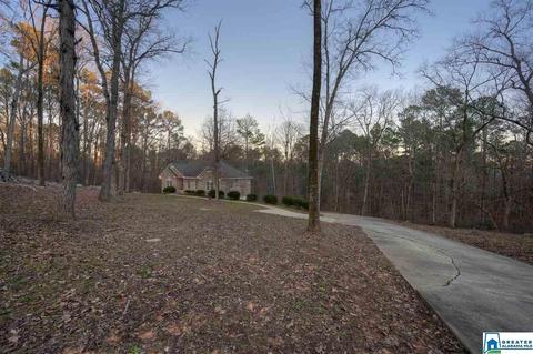 180 Spring Trl, Warrior, AL 35180 photo 28