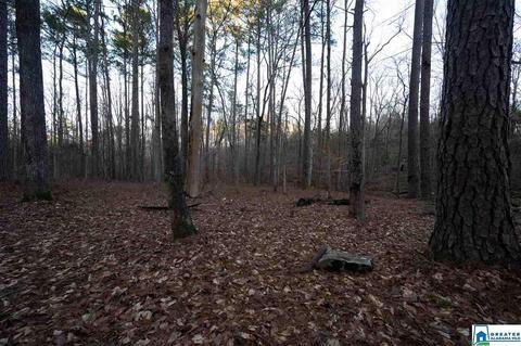180 Spring Trl, Warrior, AL 35180 photo 24