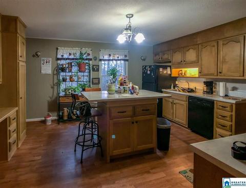 333 Cornelius Rd, Locust Fork, AL 35097 photo 16