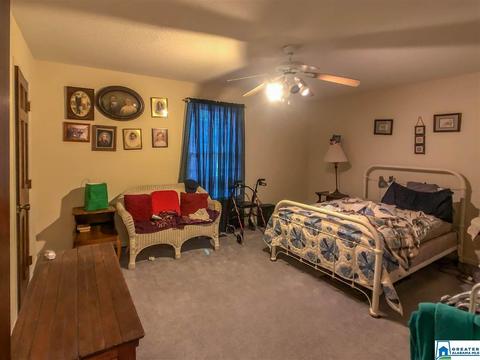 333 Cornelius Rd, Locust Fork, AL 35097 photo 11