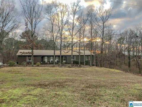 333 Cornelius Rd, Locust Fork, AL 35097 photo 1