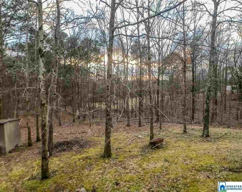 333 Cornelius Rd, Locust Fork, AL 35097 photo 9