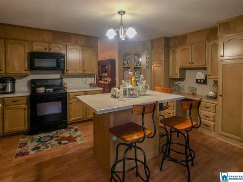 333 Cornelius Rd, Locust Fork, AL 35097 photo 8