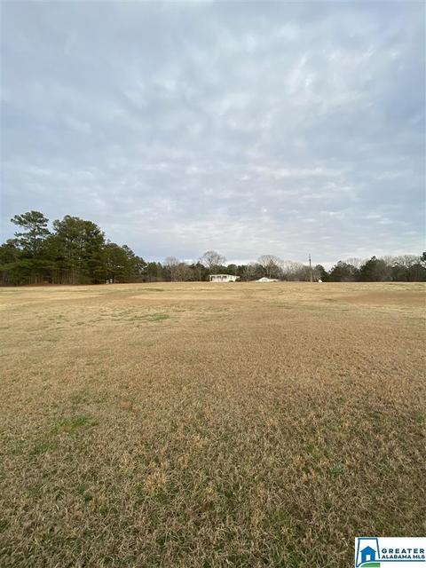 2228 Corner Rd, Warrior, AL 35180 photo 3