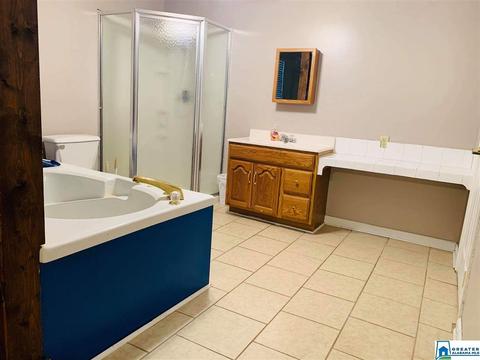 970 Co Rd 759, Clanton, AL 35046 photo 8
