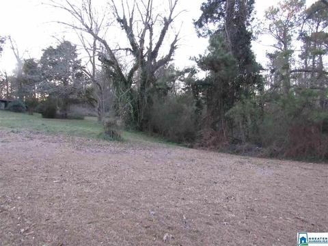 286 Co Rd 41, Clanton, AL 35045 photo 11