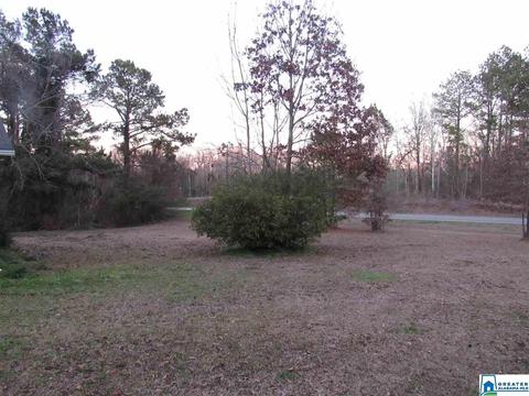 286 Co Rd 41, Clanton, AL 35045 photo 12