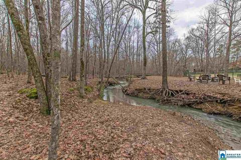 148 Silverleaf Dr, Pelham, AL 35124 photo 49