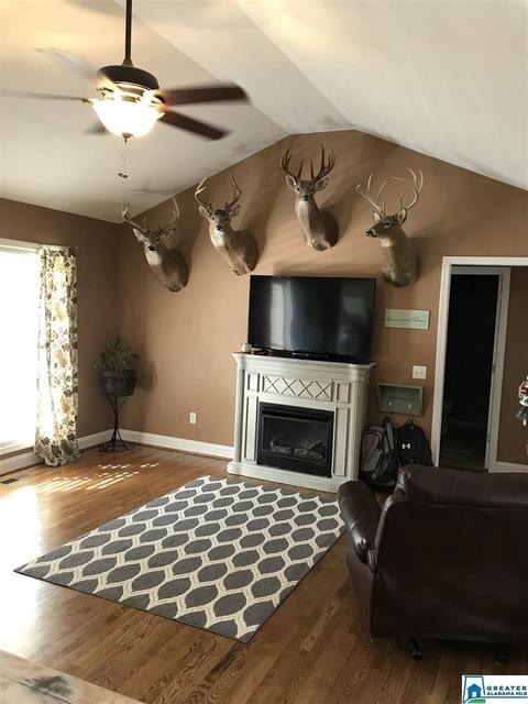 383 Abbey Rd, Warrior, AL 35180 photo 10