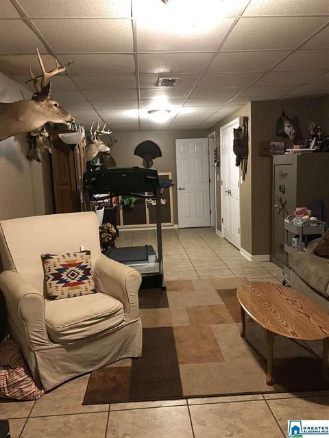 383 Abbey Rd, Warrior, AL 35180 photo 44