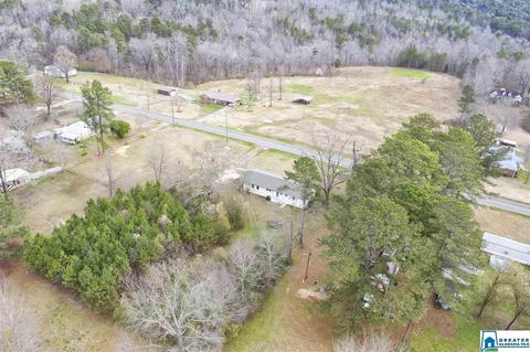 3594 Mount Olive Rd, Mount Olive, AL 35117 photo 2