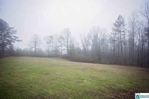 1015 Echo Trl, Warrior, AL 35180 photo 18