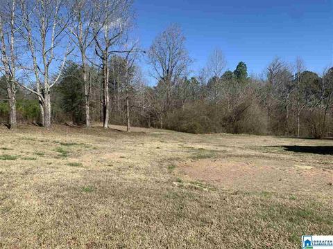 12 Sunbeam Rd, Parrish, AL 35580 photo 17