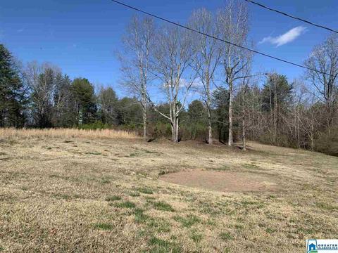 12 Sunbeam Rd, Parrish, AL 35580 photo 16