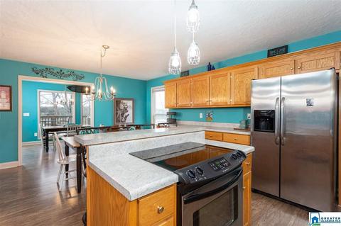 166 Mohawk Trl, Ohatchee, AL 36271 photo 5