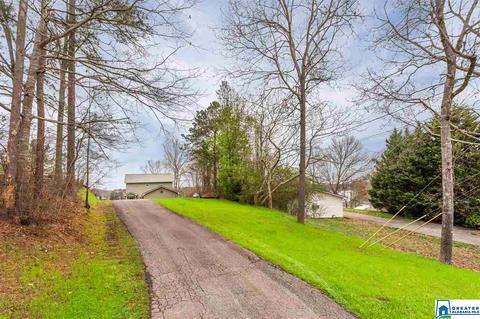 166 Mohawk Trl, Ohatchee, AL 36271 photo 43