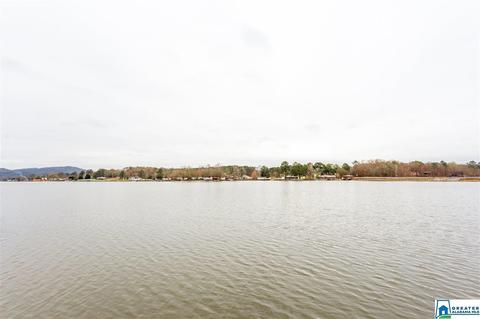 166 Mohawk Trl, Ohatchee, AL 36271 photo 42