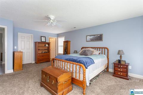 166 Mohawk Trl, Ohatchee, AL 36271 photo 19