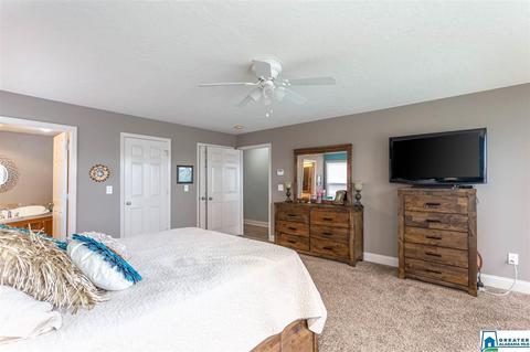 166 Mohawk Trl, Ohatchee, AL 36271 photo 13