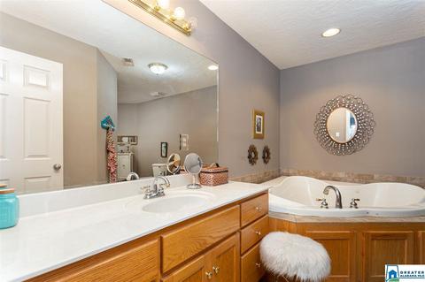166 Mohawk Trl, Ohatchee, AL 36271 photo 15