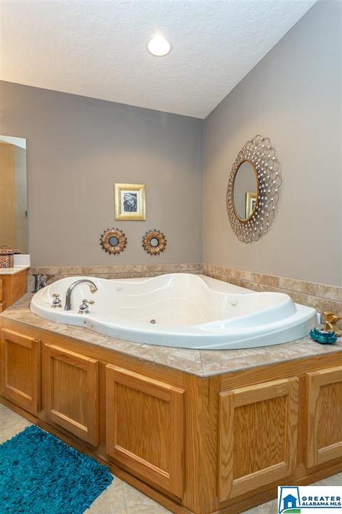 166 Mohawk Trl, Ohatchee, AL 36271 photo 16
