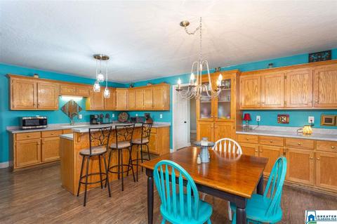 166 Mohawk Trl, Ohatchee, AL 36271 photo 3