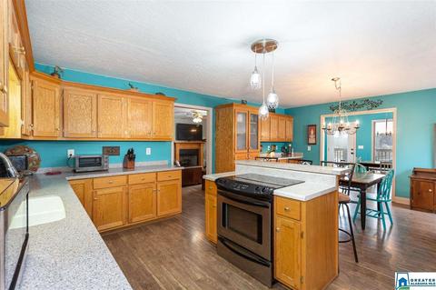 166 Mohawk Trl, Ohatchee, AL 36271 photo 6