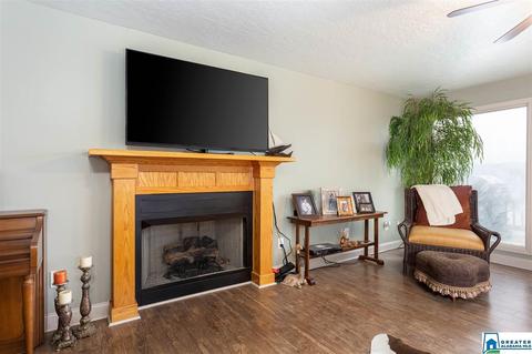 166 Mohawk Trl, Ohatchee, AL 36271 photo 11