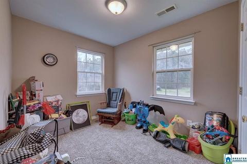 9501 Moon Rd, Warrior, AL 35180 photo 15