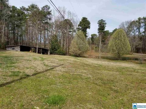 220 Steele Gap Rd, Steele, AL 35987 photo 17